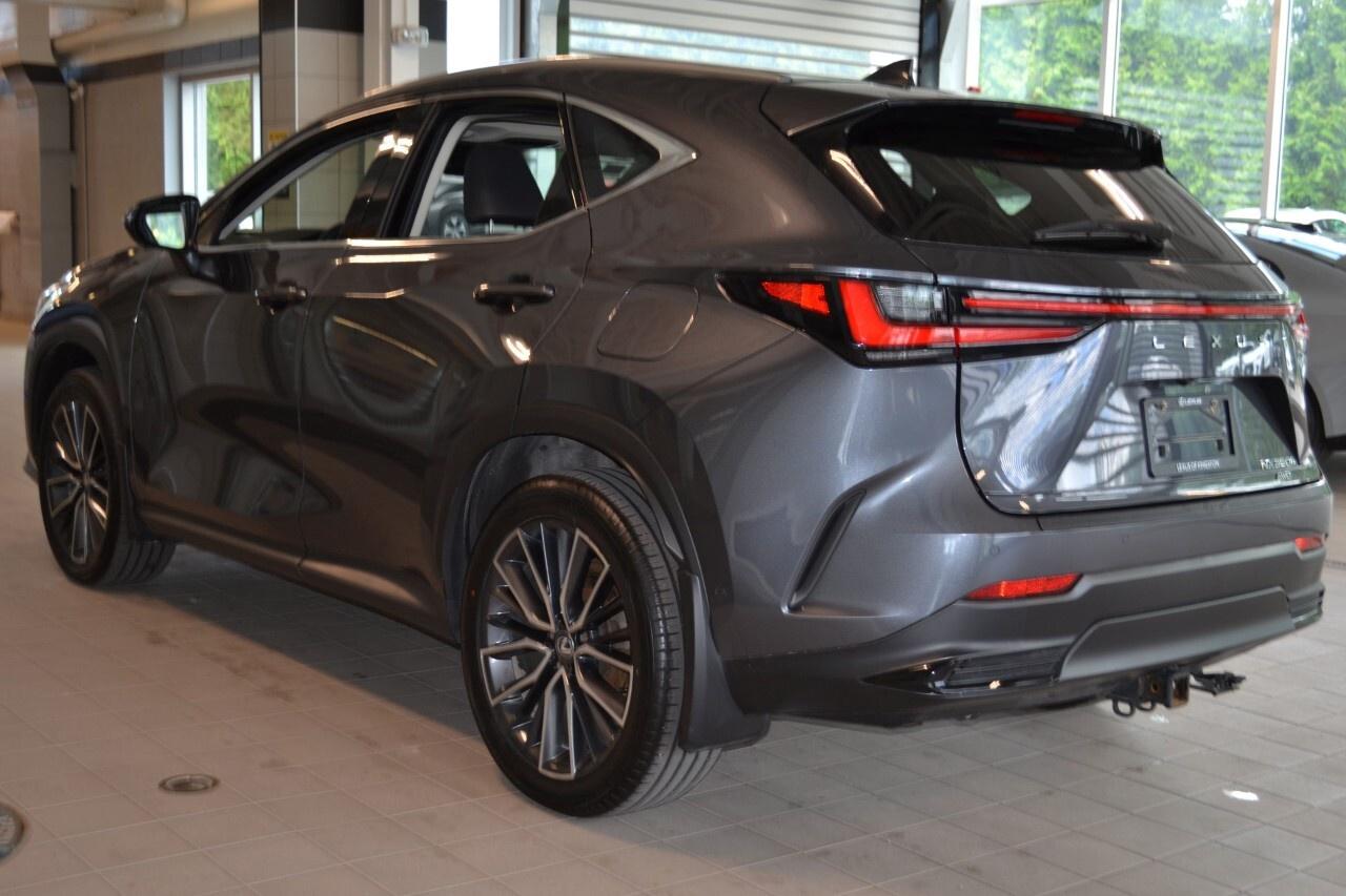 2024 Lexus NX 350h EXECUTIVE Photo