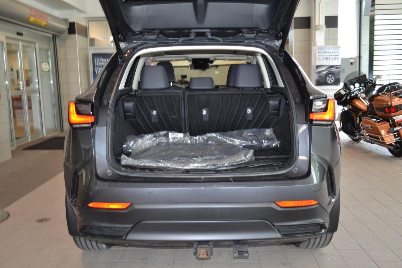 2024 Lexus NX 350h EXECUTIVE Photo