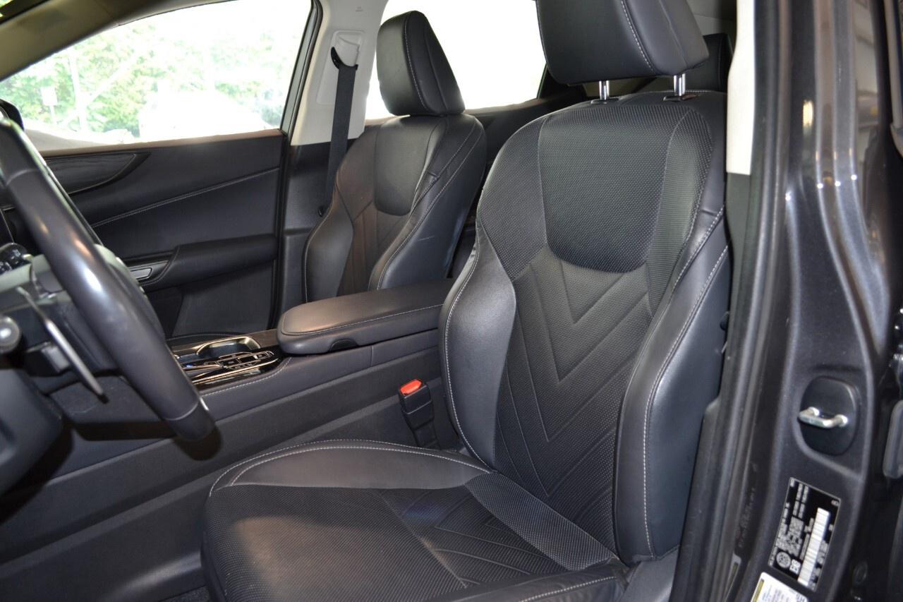 2024 Lexus NX 350h EXECUTIVE Photo