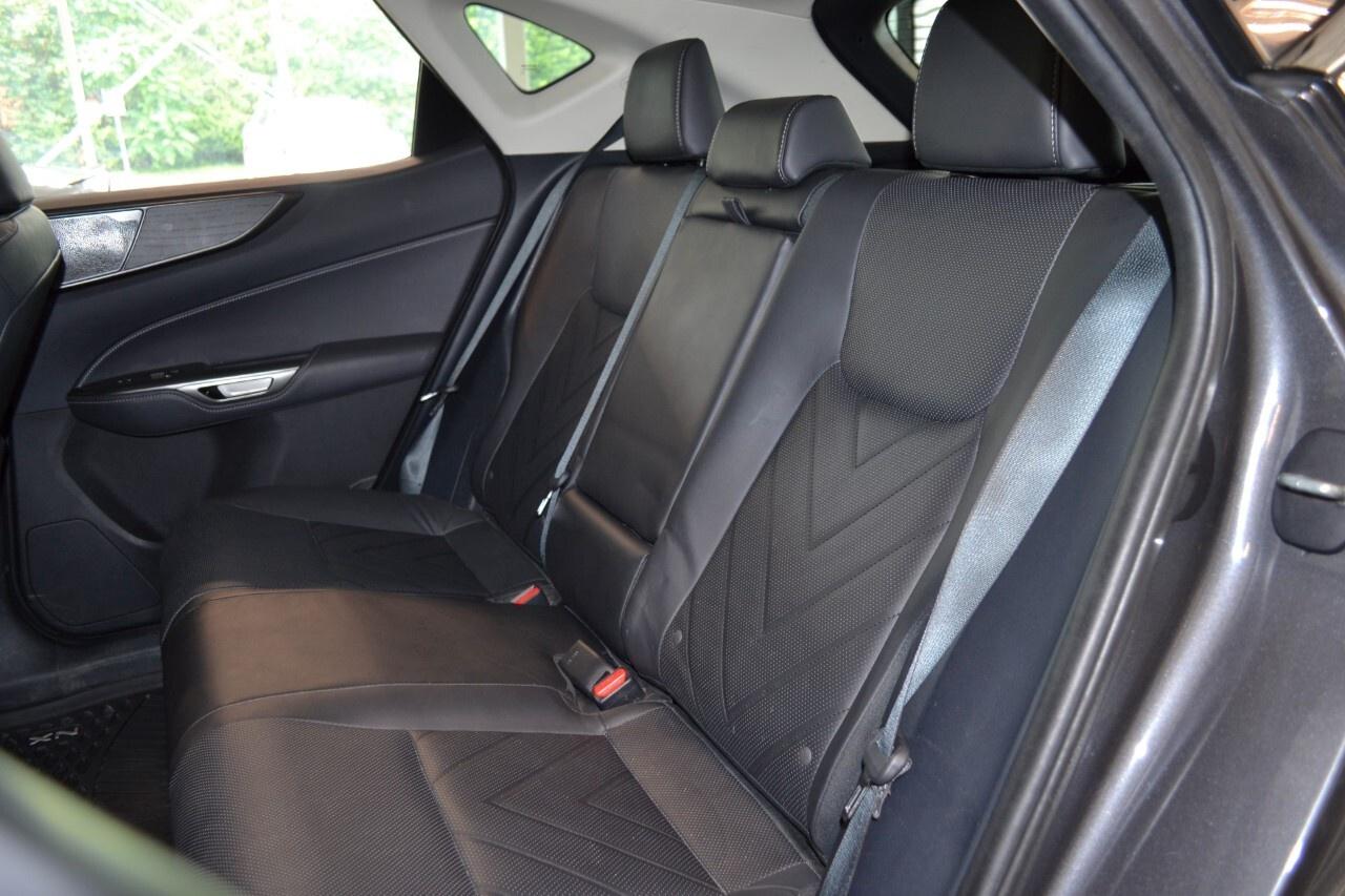 2024 Lexus NX 350h EXECUTIVE Photo