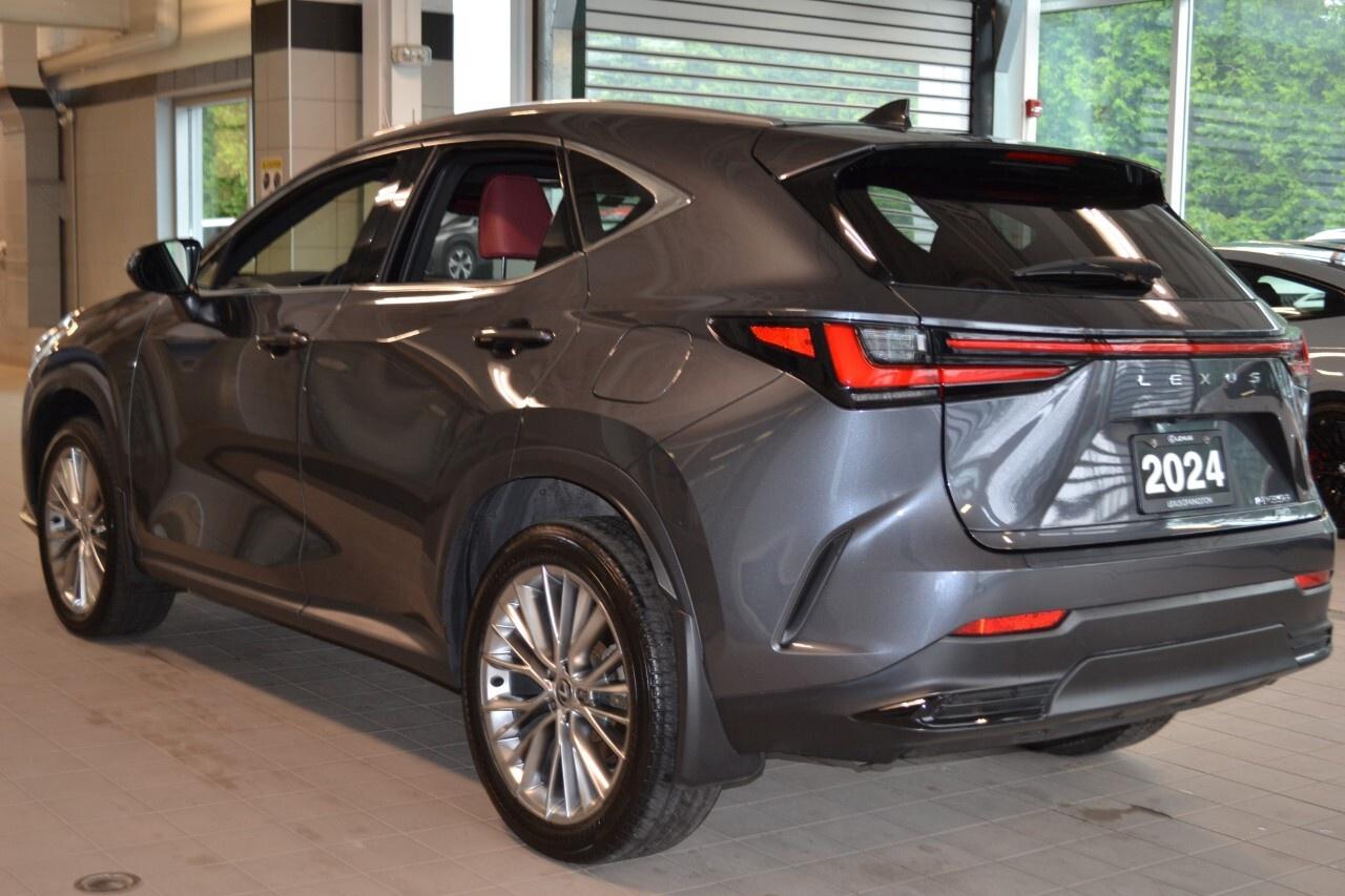 2024 Lexus NX 350 LUXURY Photo