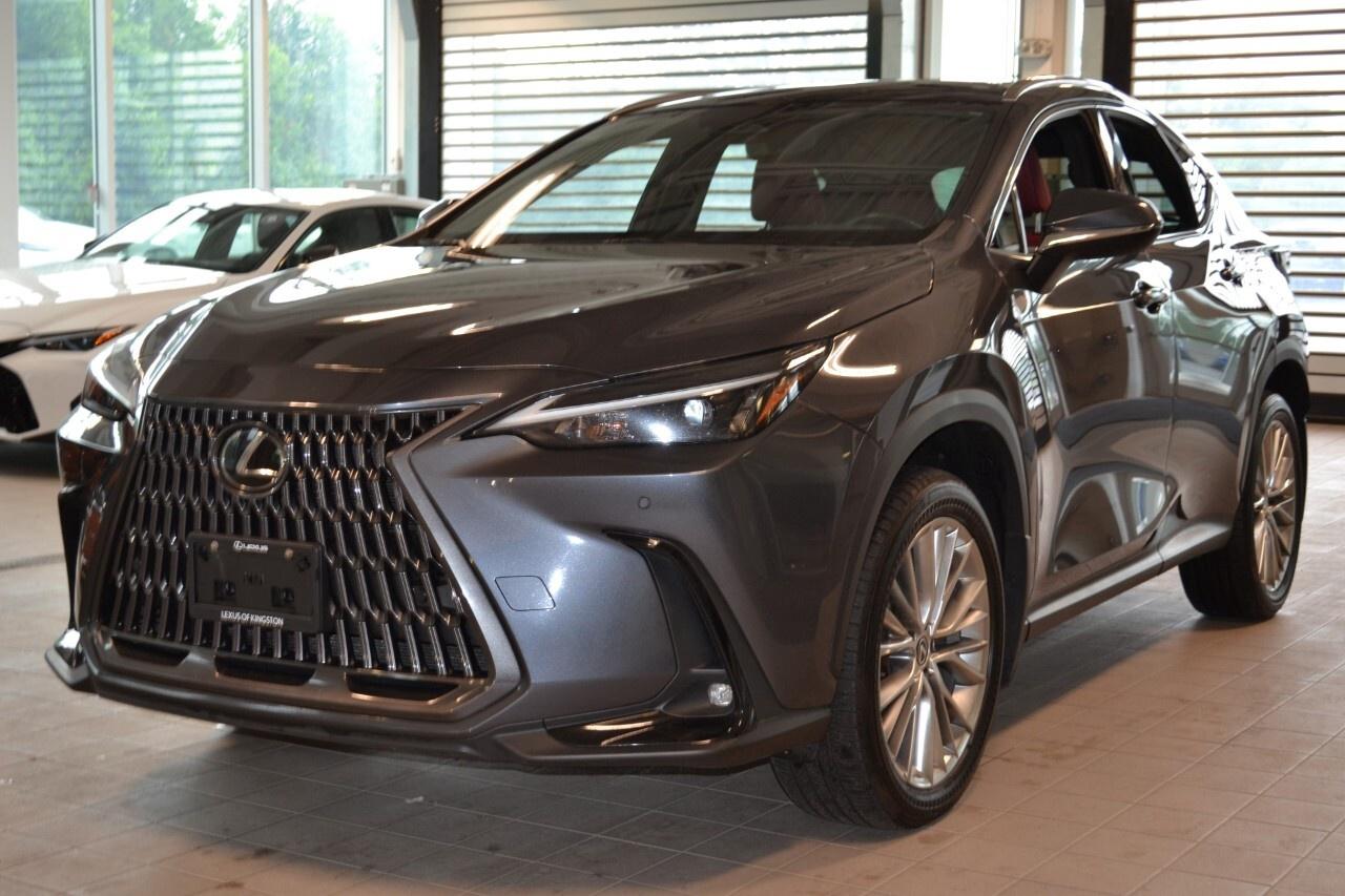 2024 Lexus NX 350 LUXURY Photo