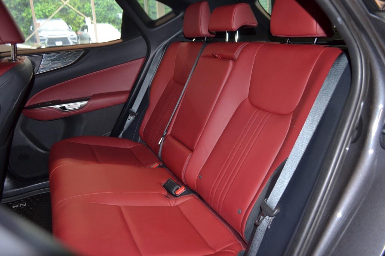 2024 Lexus NX 350 LUXURY Photo