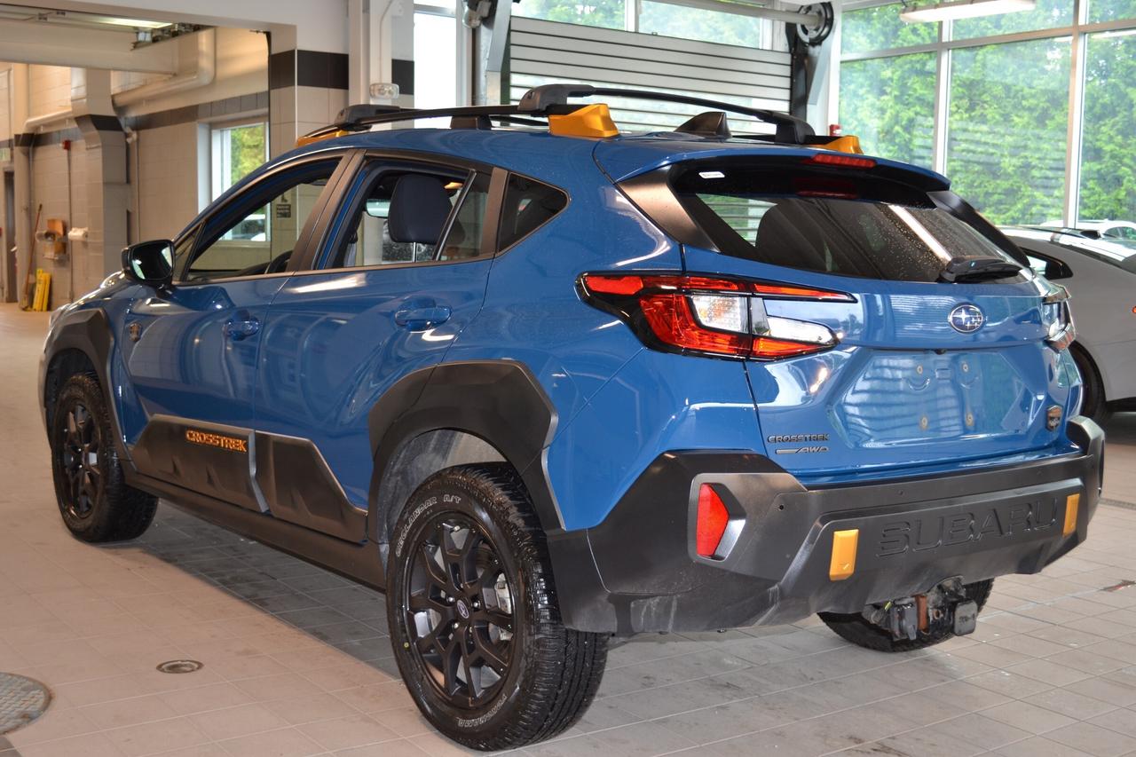 2025 Subaru Crosstrek Wilderness Photo