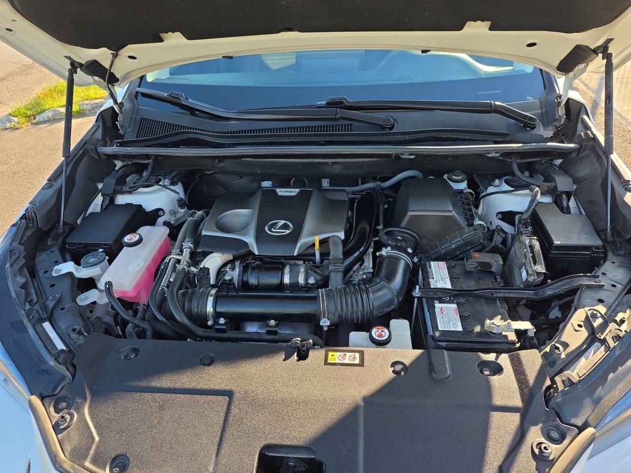 2020 Lexus NX NX 300 AWD * NO ACCIDENTS / DRIVER ASSIST / COOLED Photo