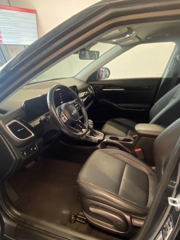 2024 Kia Seltos EX 4dr Front-Wheel Drive Photo