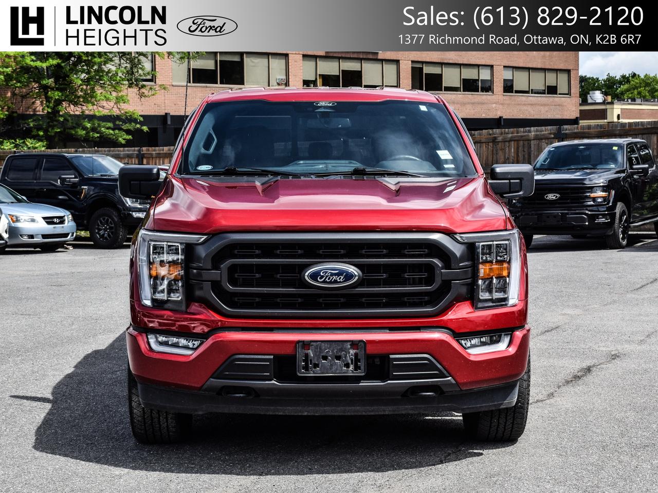 2022 Ford F-150  Photo