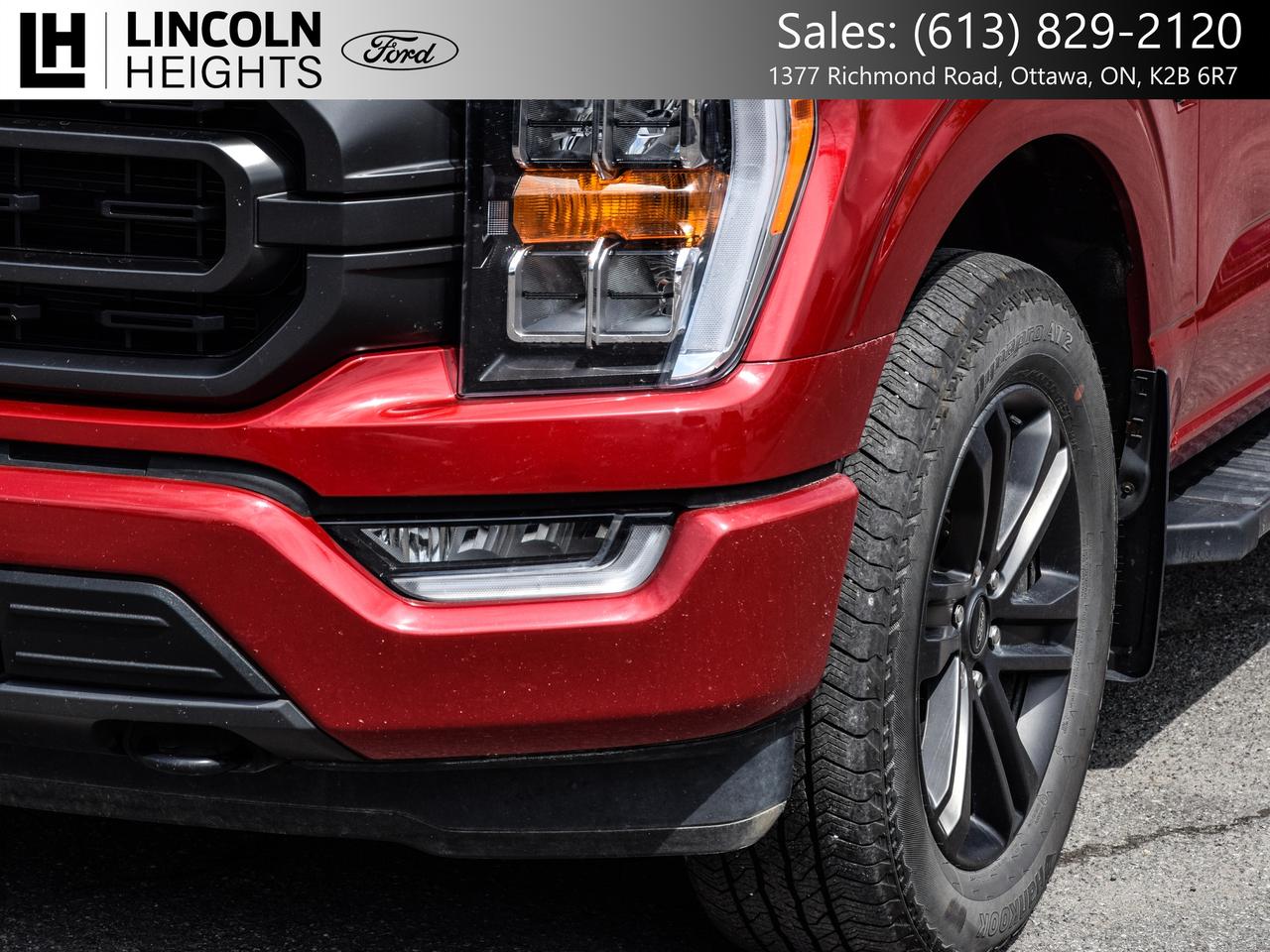2022 Ford F-150  Photo