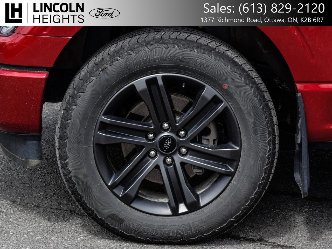 2022 Ford F-150  Photo