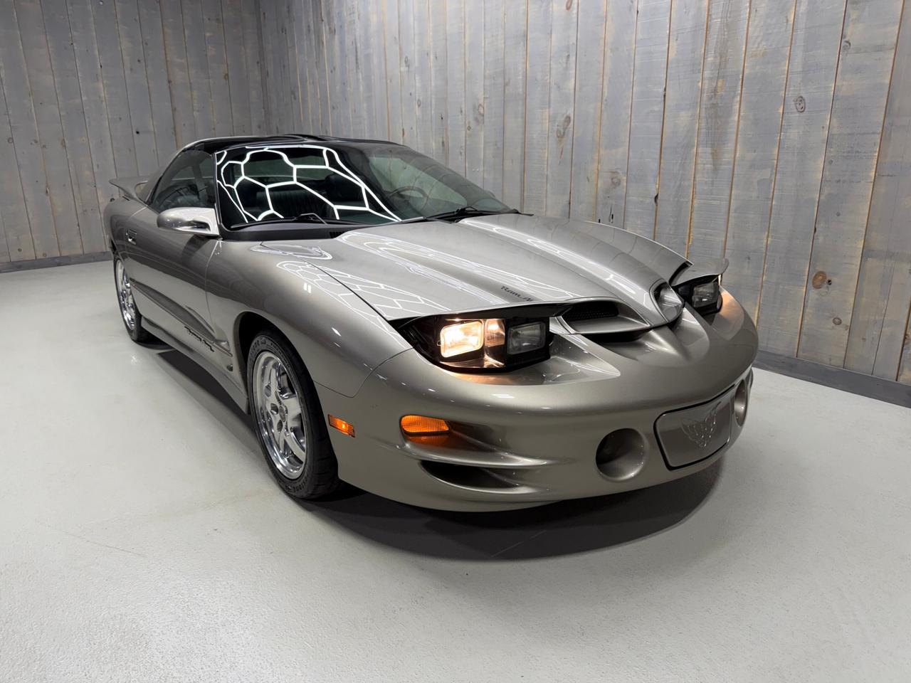 2002 Pontiac Firebird TRANS-AM WS6 6 SPEED MANUAL Photo