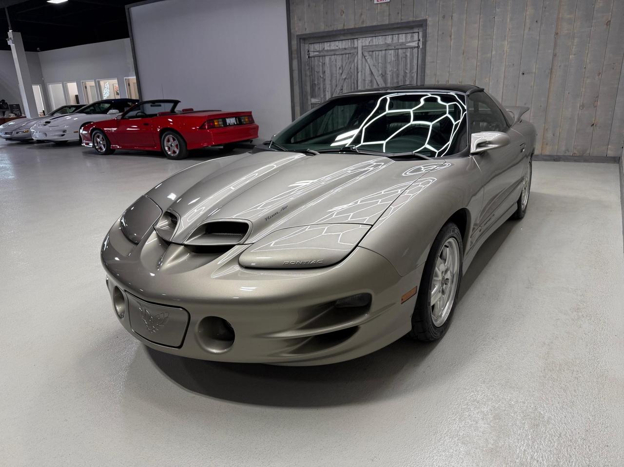 2002 Pontiac Firebird TRANS-AM WS6 6 SPEED MANUAL Photo