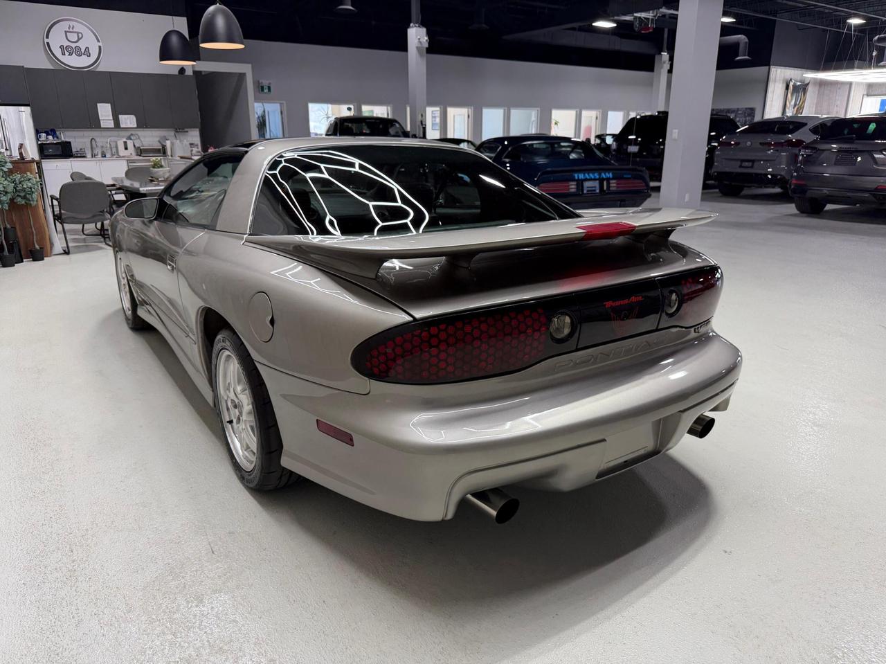 2002 Pontiac Firebird TRANS-AM WS6 6 SPEED MANUAL Photo