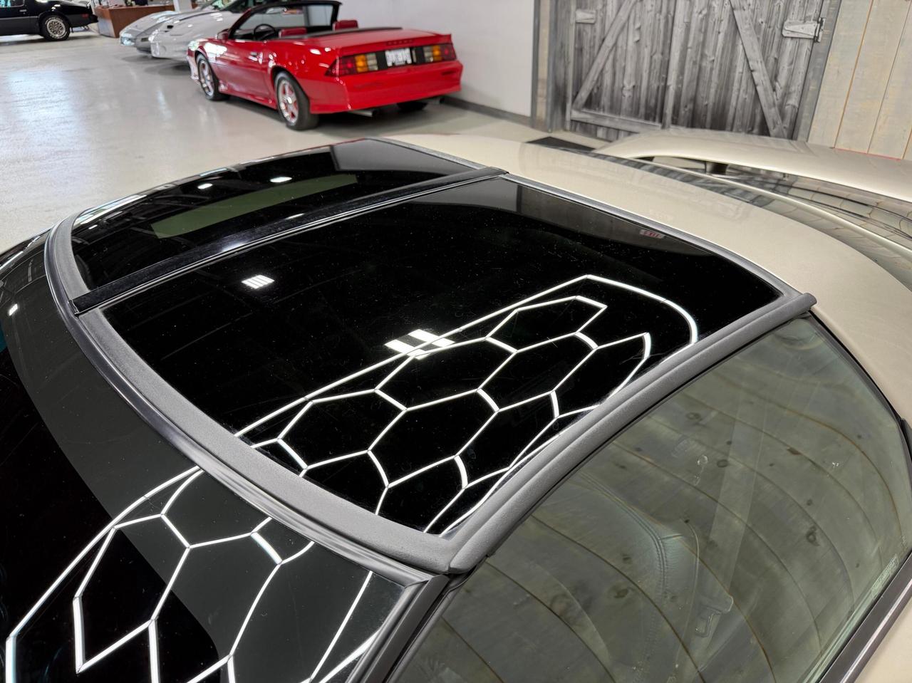 2002 Pontiac Firebird TRANS-AM WS6 6 SPEED MANUAL Photo