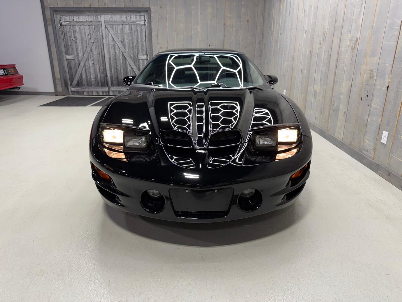 2002 Pontiac Firebird TRANS-AM WS6 AUTOMATIC Photo