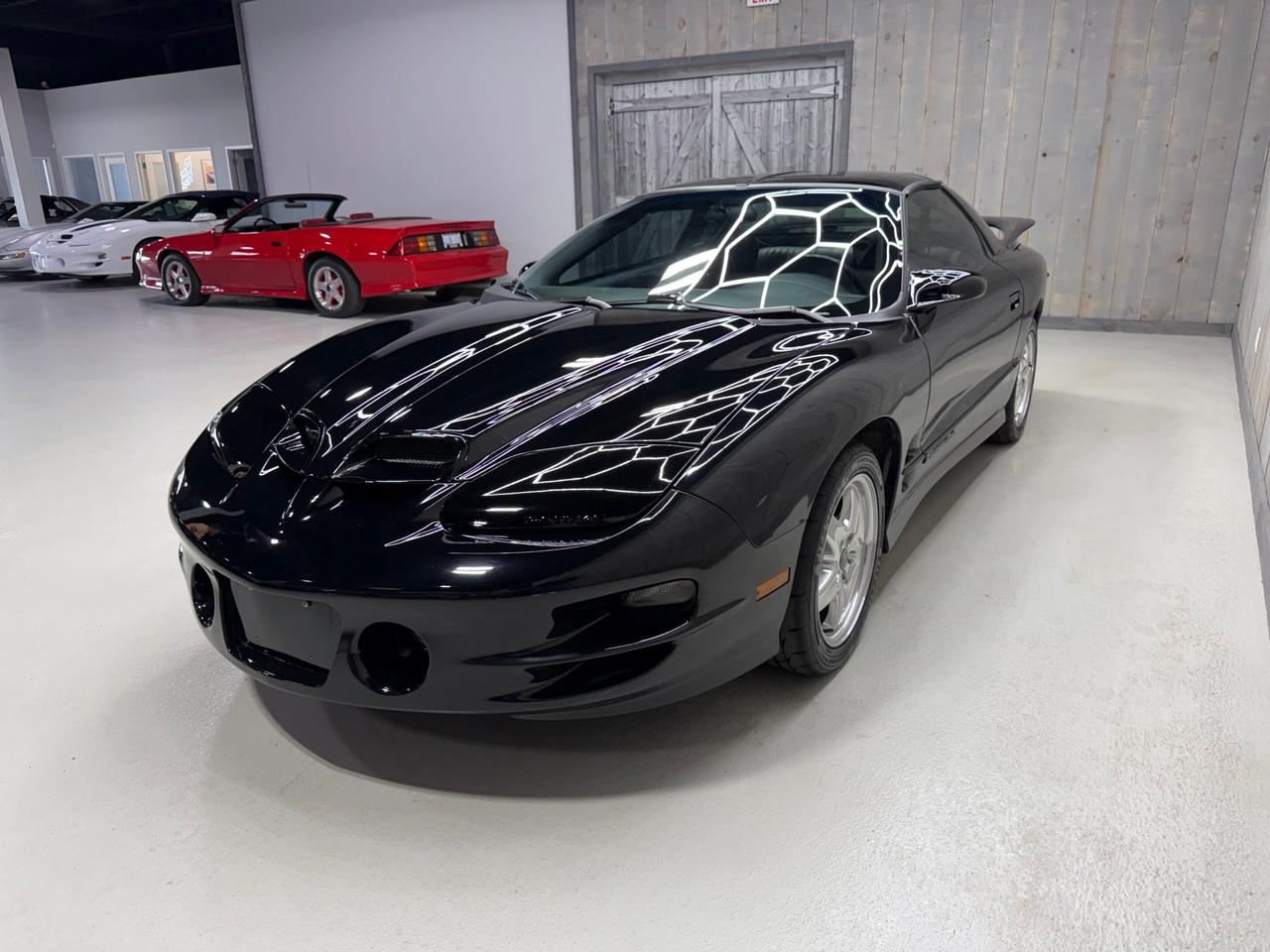 2002 Pontiac Firebird TRANS-AM WS6 AUTOMATIC Photo