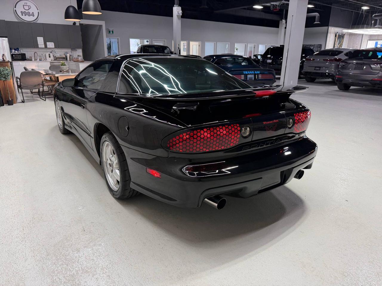 2002 Pontiac Firebird TRANS-AM WS6 AUTOMATIC Photo