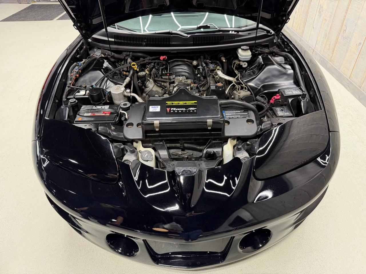 2002 Pontiac Firebird TRANS-AM WS6 AUTOMATIC Photo