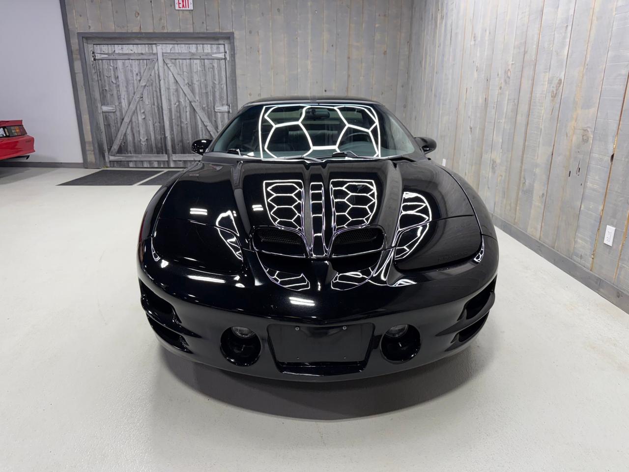 2002 Pontiac Firebird TRANS-AM WS6 AUTOMATIC Photo4
