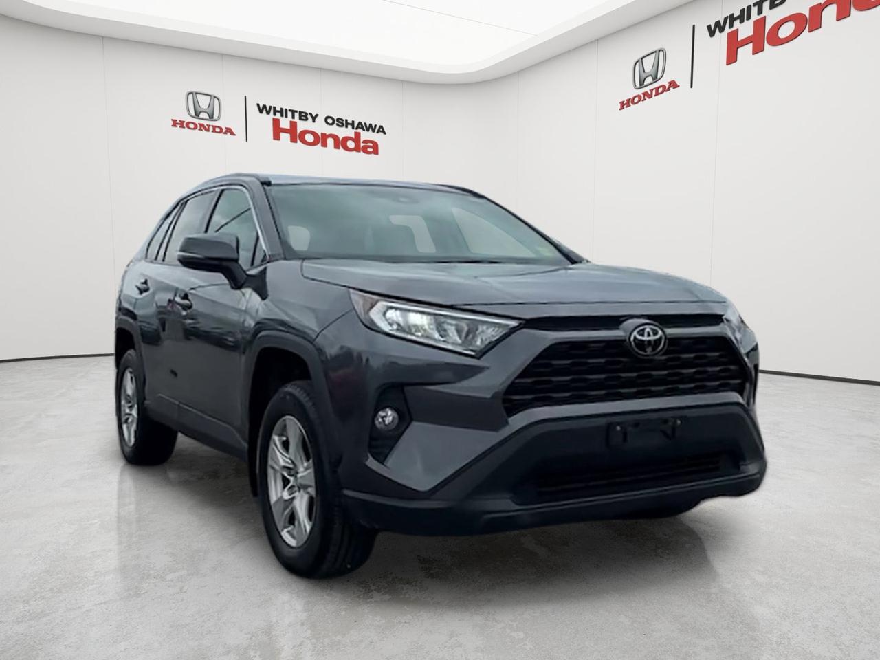 2019 Toyota RAV4 AWD XLE Photo