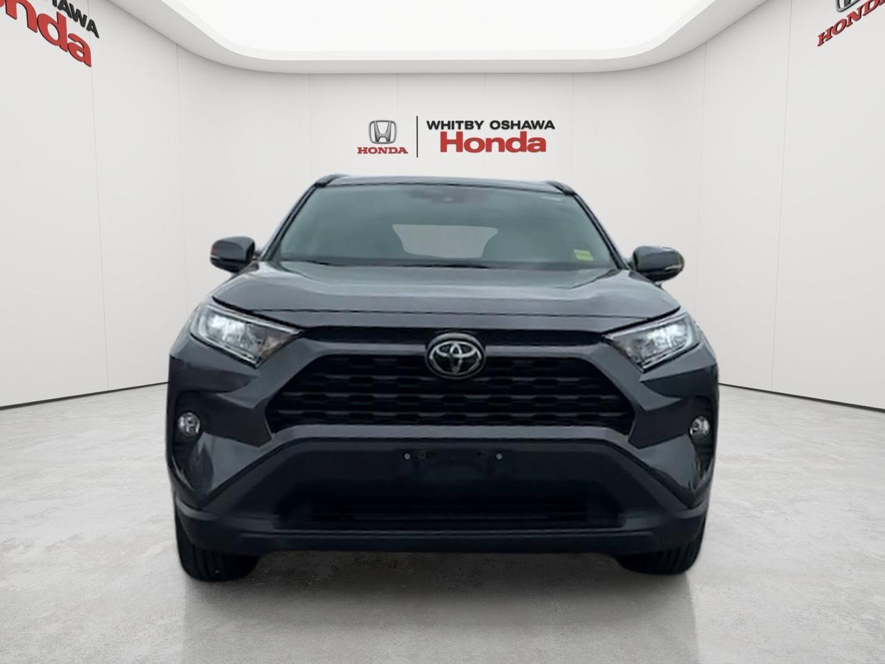 2019 Toyota RAV4 AWD XLE Photo