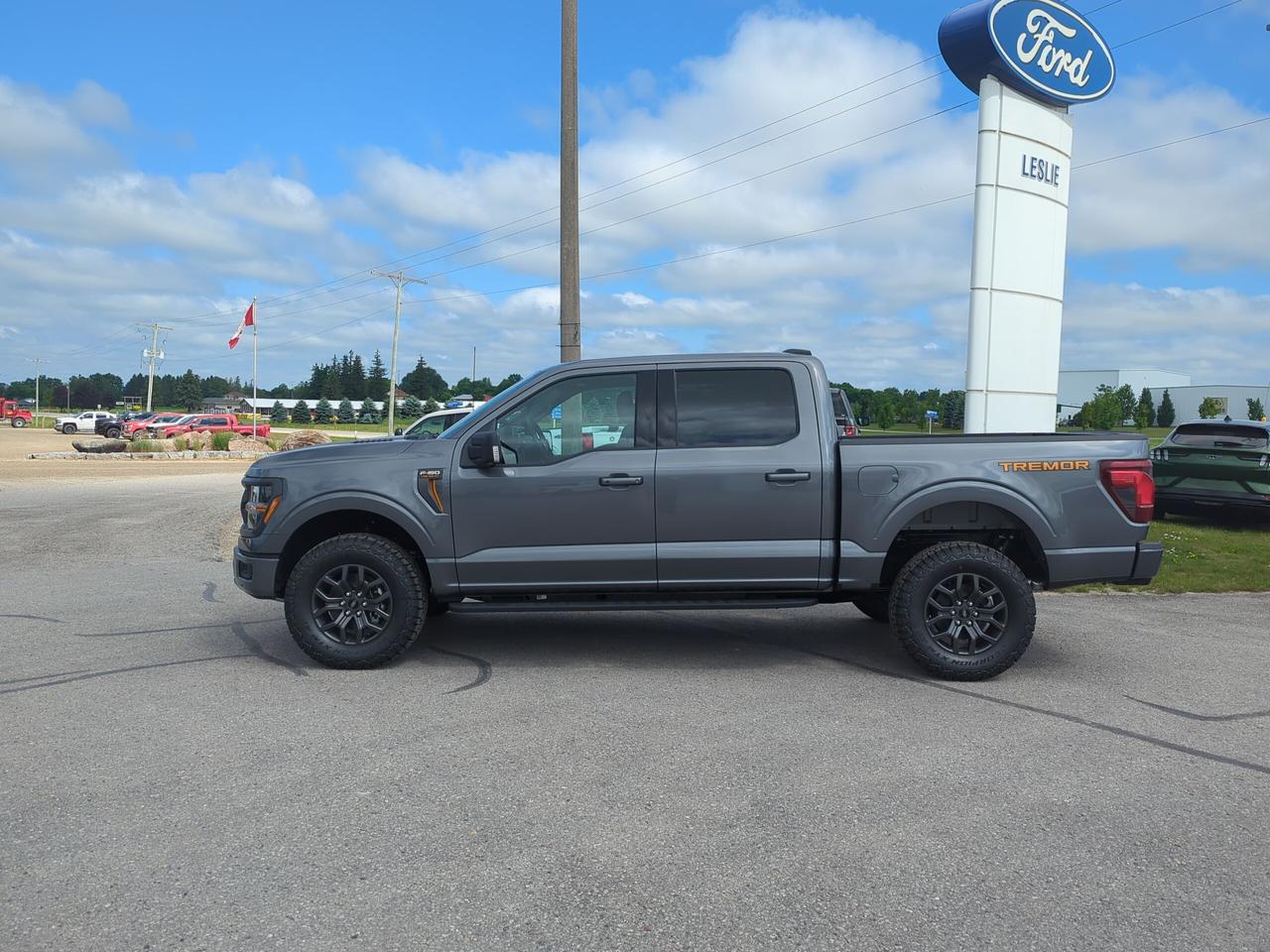 2026 Ford F-150 Tremor SuperCrew 401A 4x4 Photo2