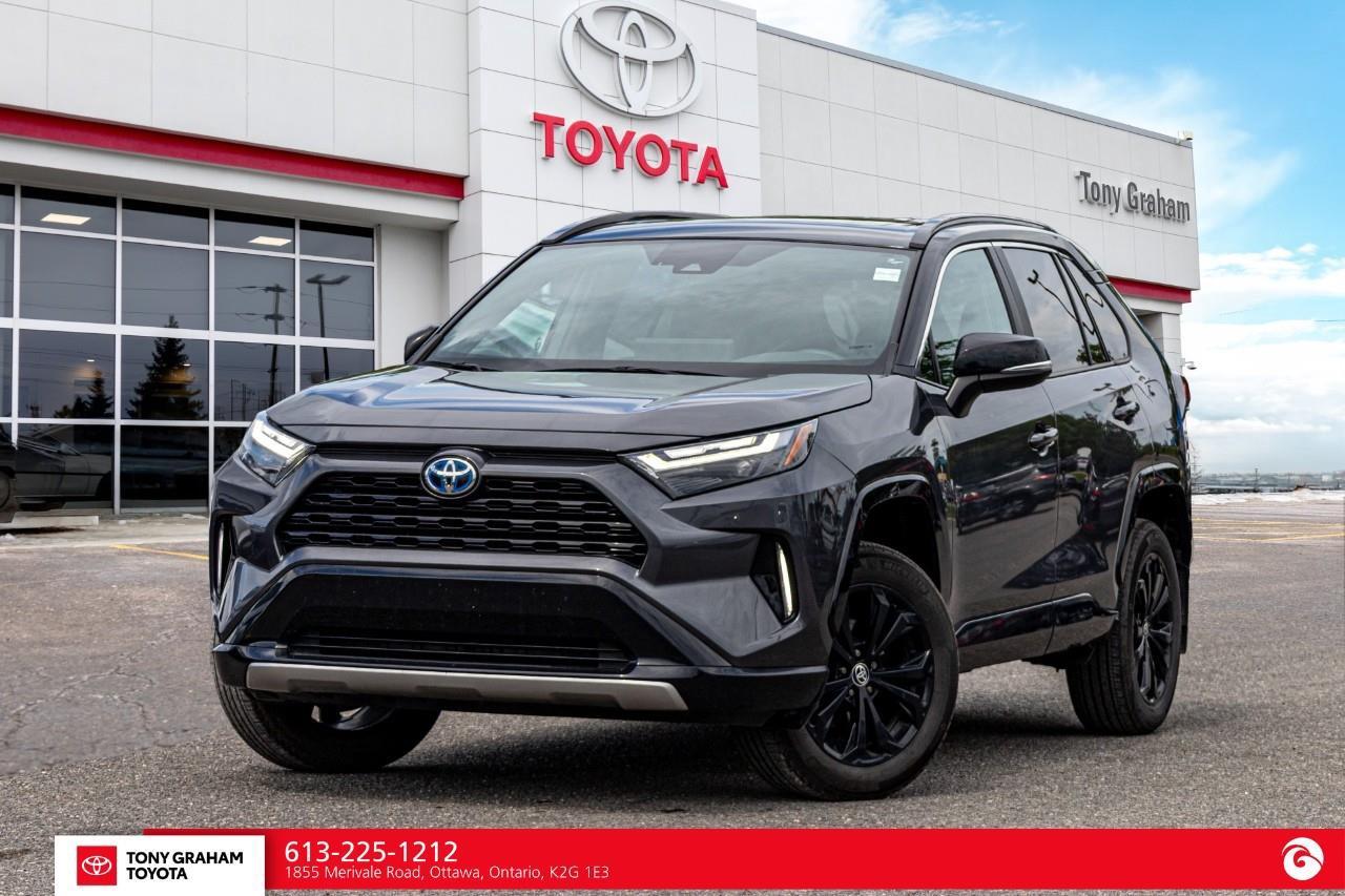 2024 Toyota RAV4 Hybrid XSE Photo