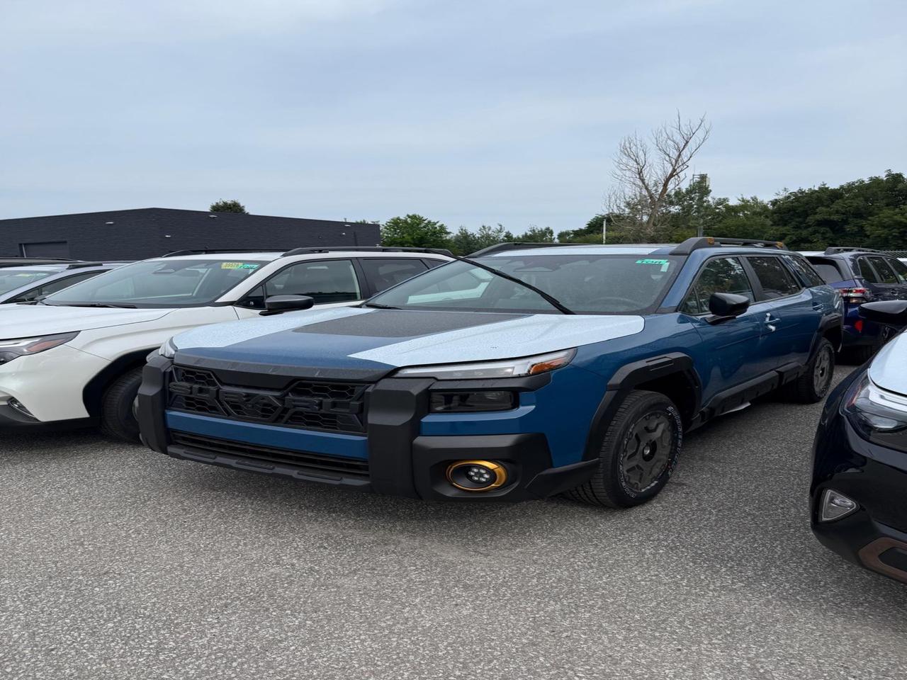 2026 Subaru Outback WILDERNESS Photo