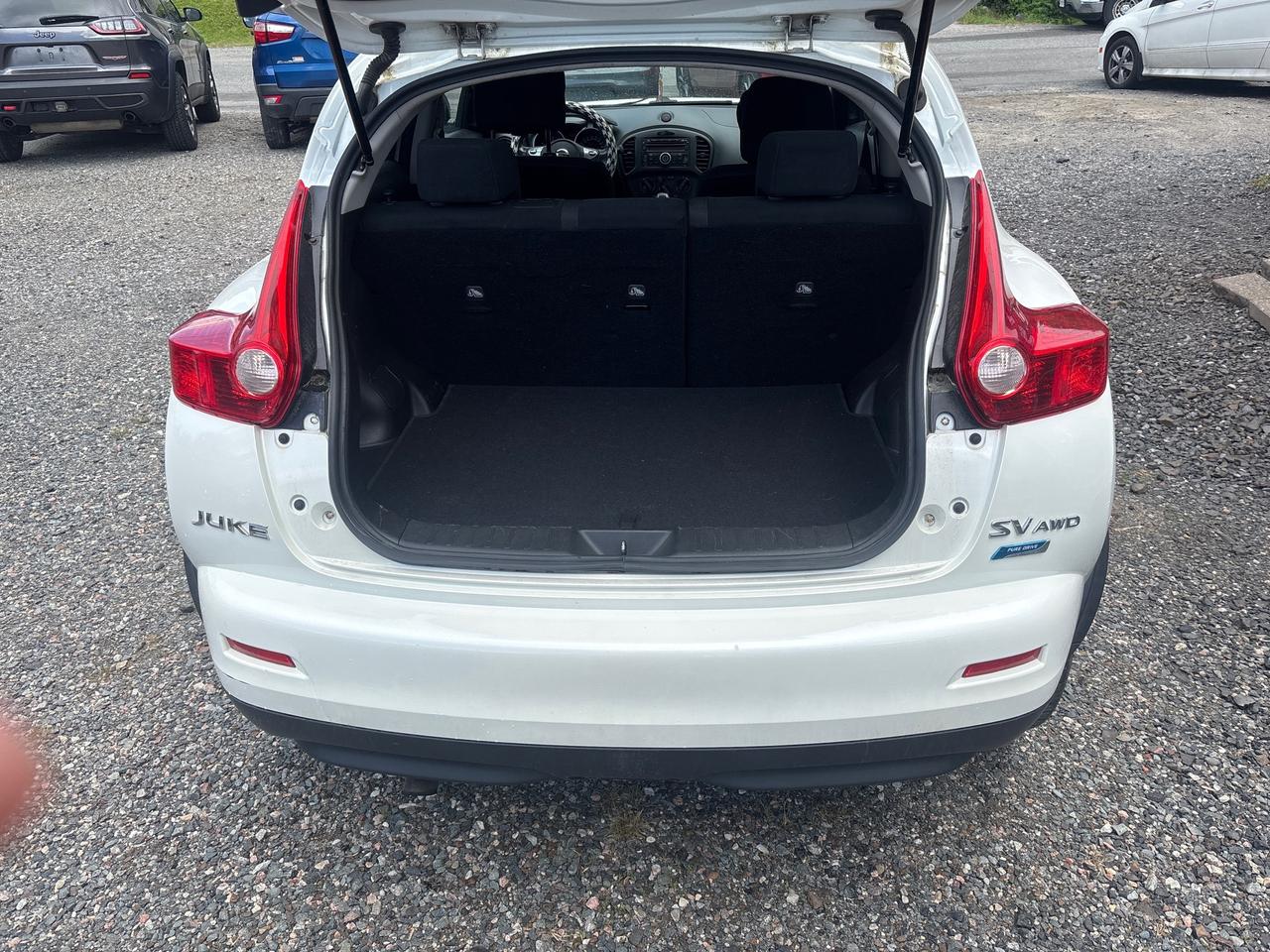 2014 Nissan Juke SV AWD Photo