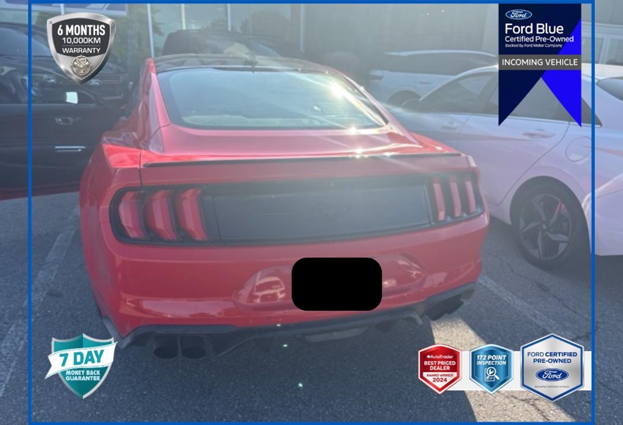 2021 Ford Mustang EcoBoost Premium LEATHER-TRIMMED HEATED/COOLED BKT STS | EQUIP GRP 201A HIGH PKG | ENG 2.3L ECO | 10-SPEED SELECTSHIFT A/T | BLACK ACCENT PKG | ACTIVE VALVE PERFORMANCE EXHAUST Photo