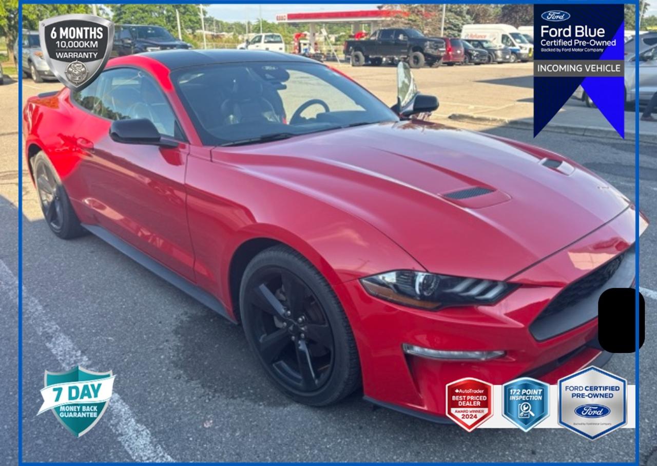 2021 Ford Mustang EcoBoost Premium LEATHER-TRIMMED HEATED/COOLED BKT STS | EQUIP GRP 201A HIGH PKG | ENG 2.3L ECO | 10-SPEED SELECTSHIFT A/T | BLACK ACCENT PKG | ACTIVE VALVE PERFORMANCE EXHAUST Photo0