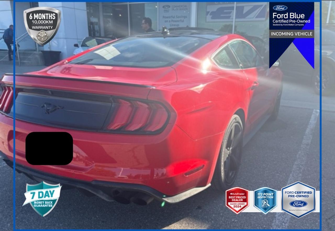 2021 Ford Mustang EcoBoost Premium LEATHER-TRIMMED HEATED/COOLED BKT STS | EQUIP GRP 201A HIGH PKG | ENG 2.3L ECO | 10-SPEED SELECTSHIFT A/T | BLACK ACCENT PKG | ACTIVE VALVE PERFORMANCE EXHAUST Photo