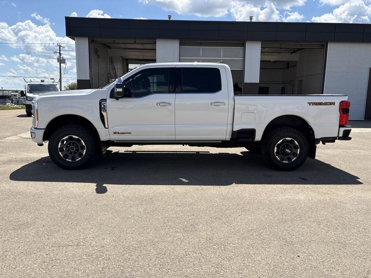 2024 Ford F-350 Super Duty SRW Platinum Photo3