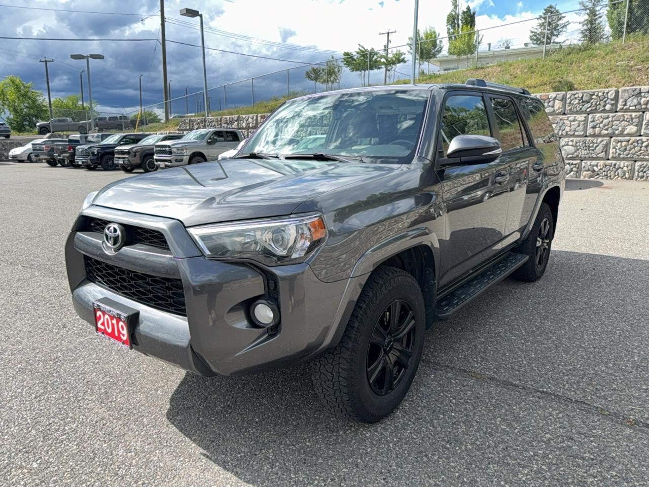 2019 Toyota 4Runner SR5 Photo