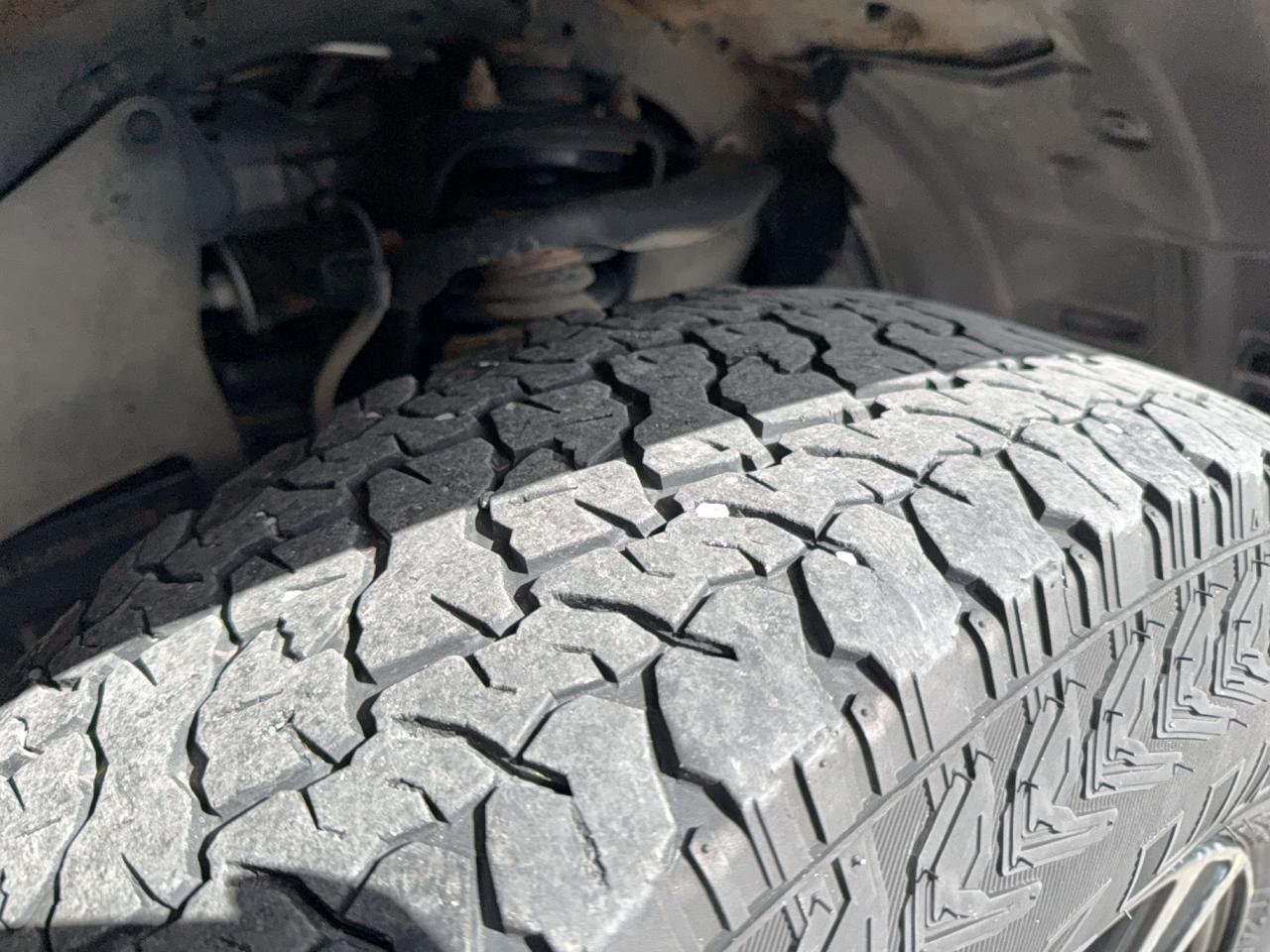 2019 Toyota 4Runner SR5 Photo