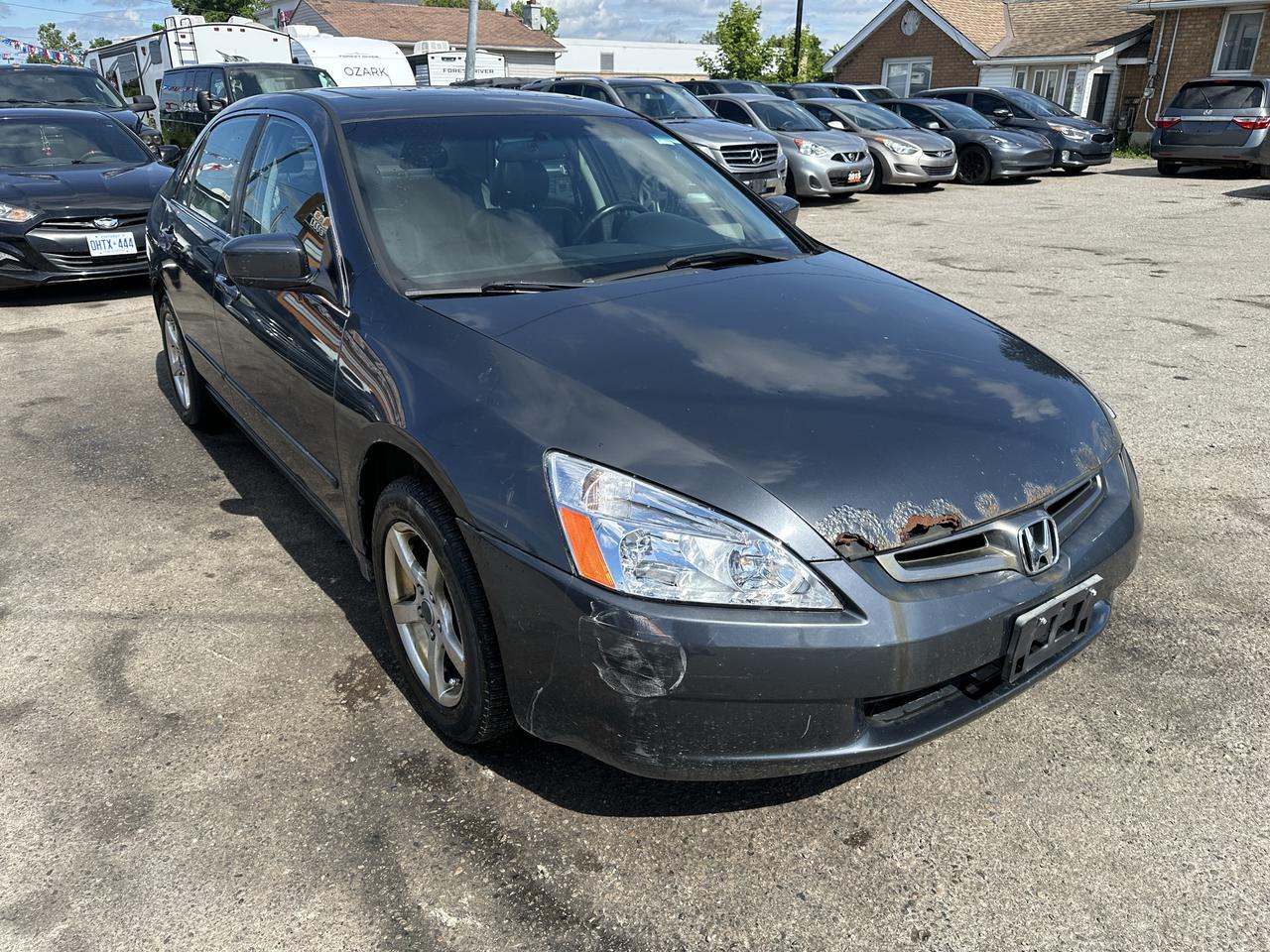 2004 Honda Accord AS IS, EX-L, RUNS AND DRIVES WELL, RUSTY UNDER Photo