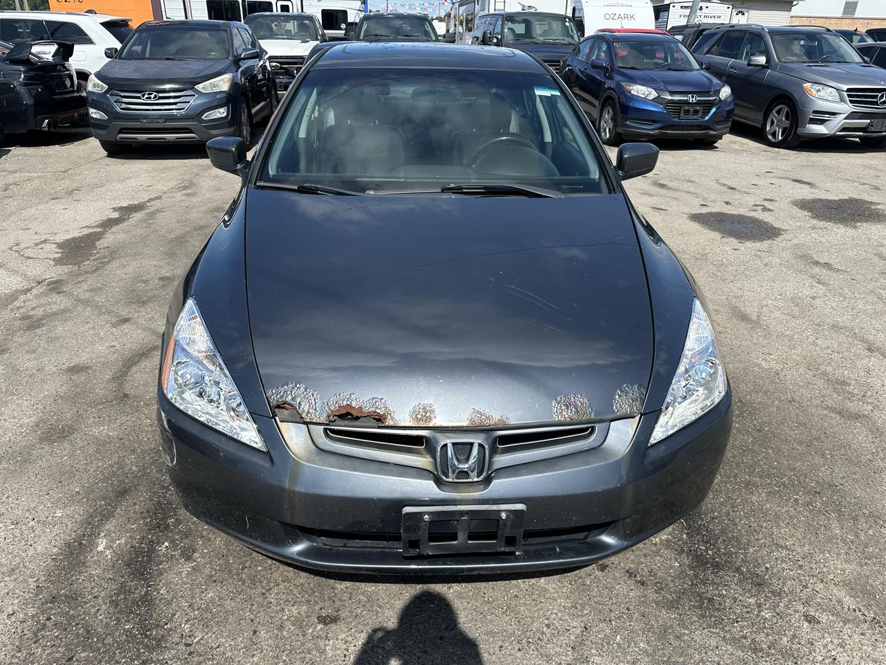2004 Honda Accord AS IS, EX-L, RUNS AND DRIVES WELL, RUSTY UNDER Photo