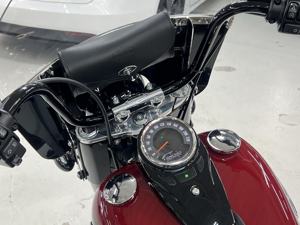2020 Harley-Davidson Heritage Classic 114  Photo