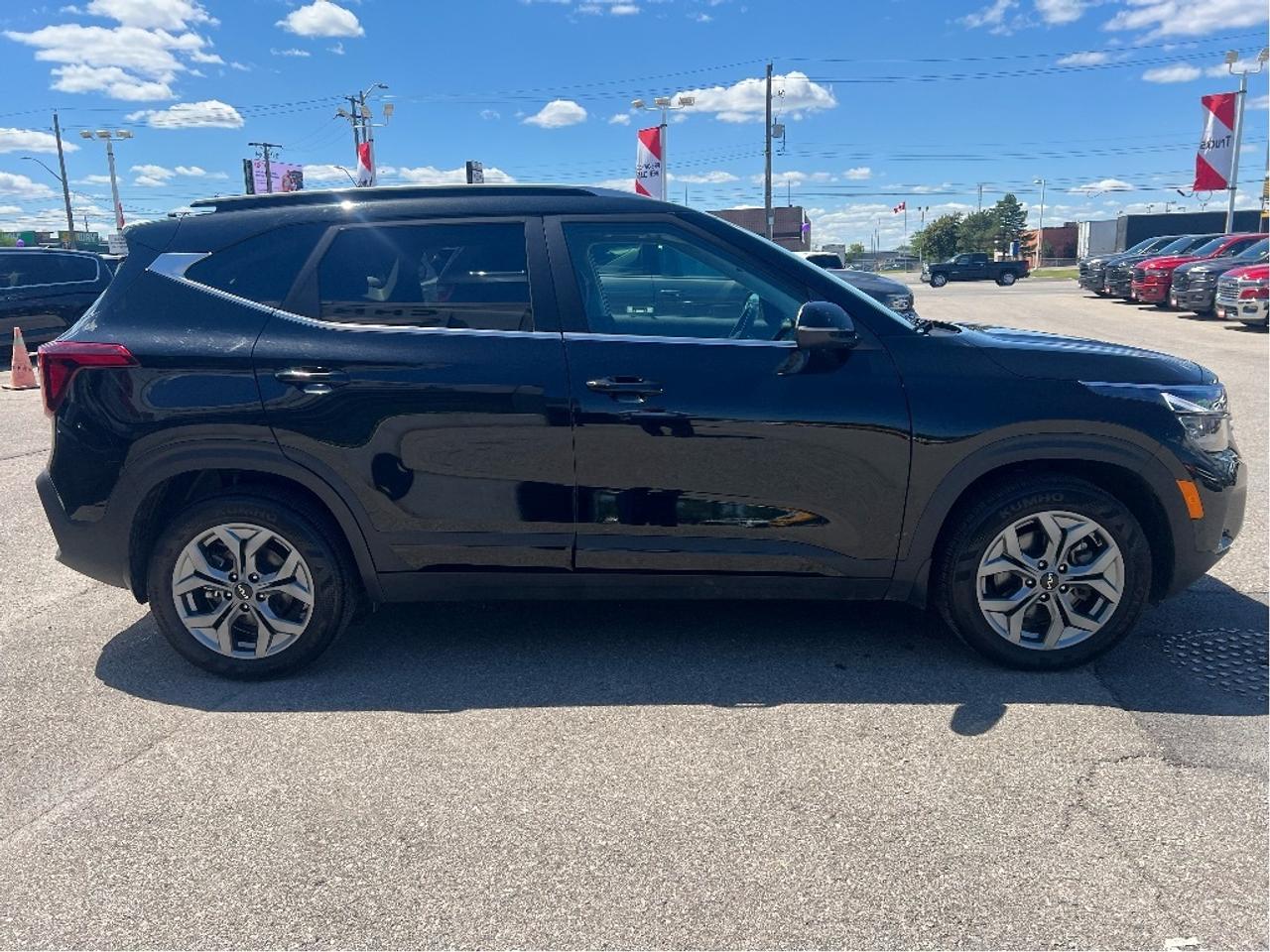 2025 Kia Seltos EX AWD Photo