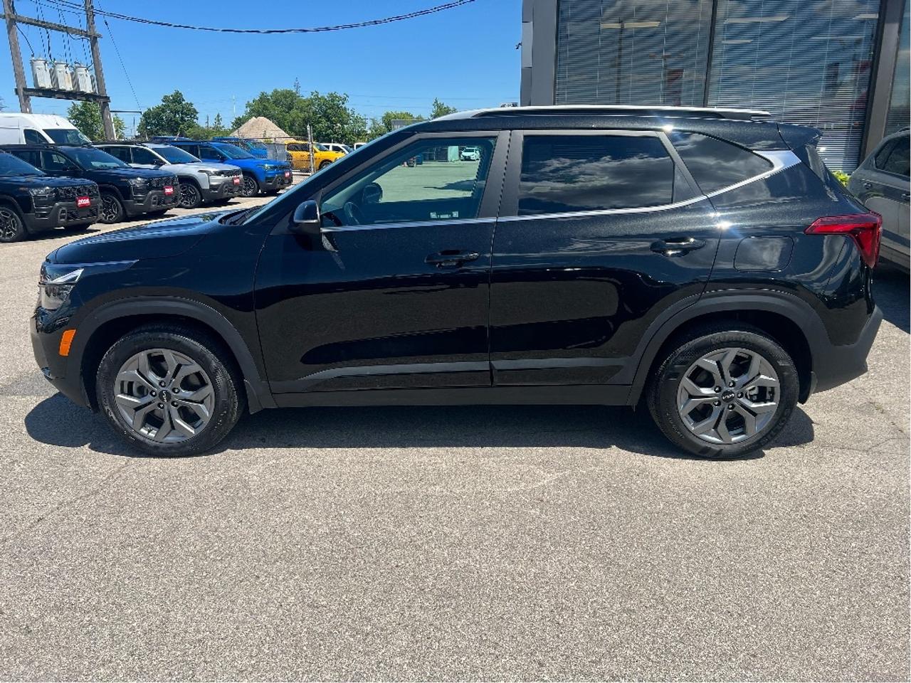 2025 Kia Seltos EX AWD Photo