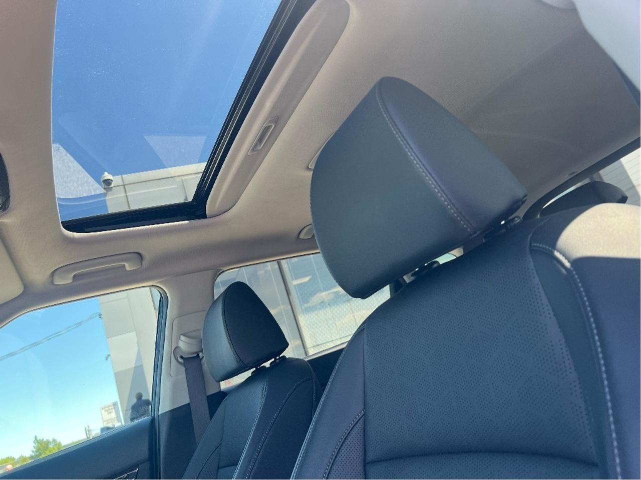 2025 Kia Seltos EX AWD Photo