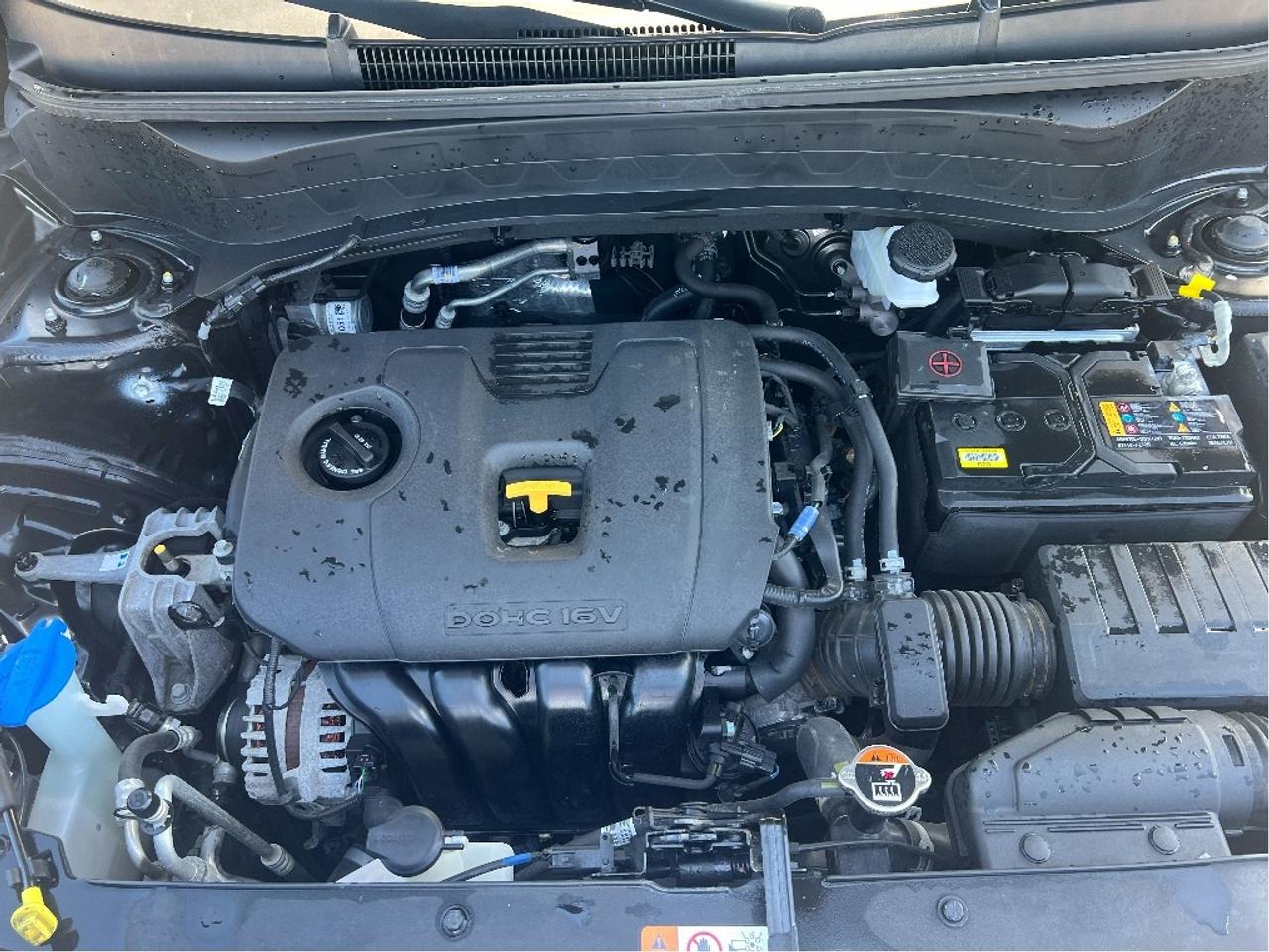 2025 Kia Seltos EX AWD Photo