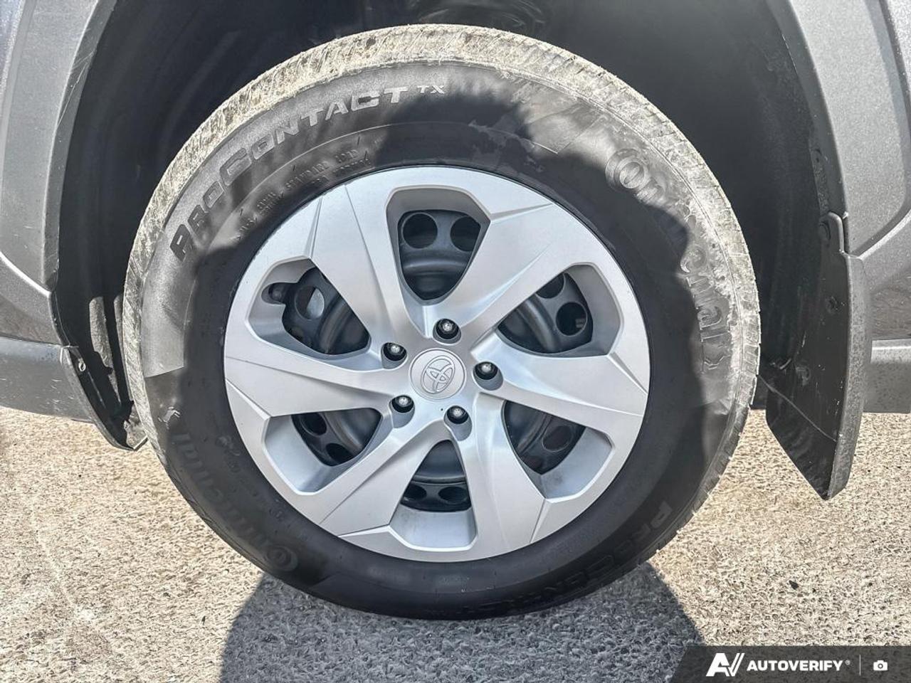 2024 Toyota RAV4 LE Photo