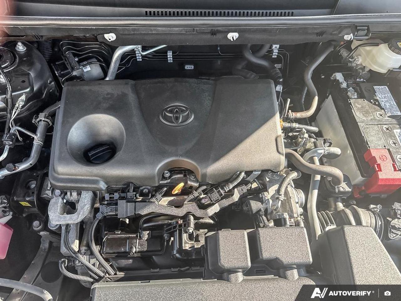 2024 Toyota RAV4 LE Photo