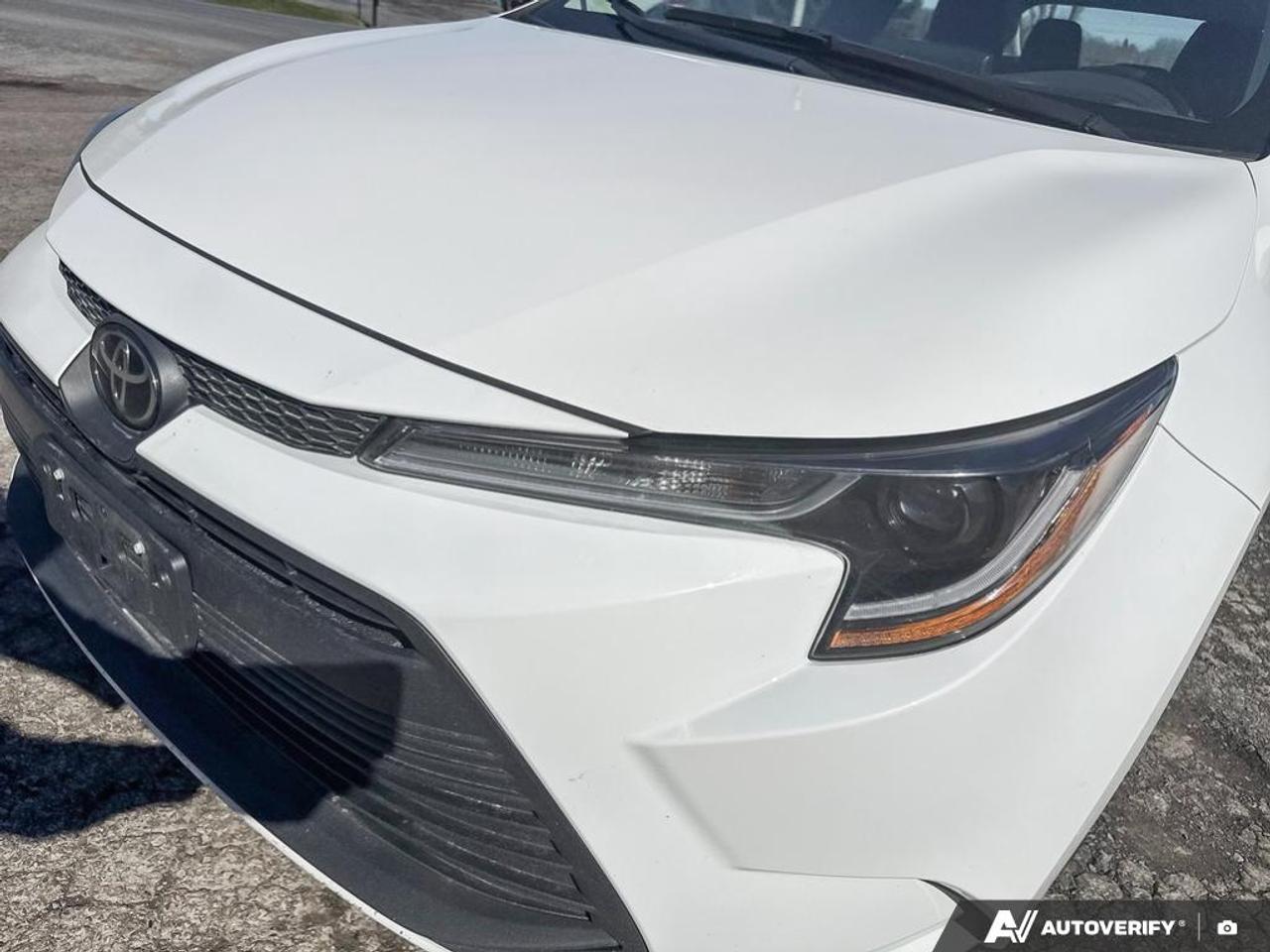 2024 Toyota Corolla LE Photo