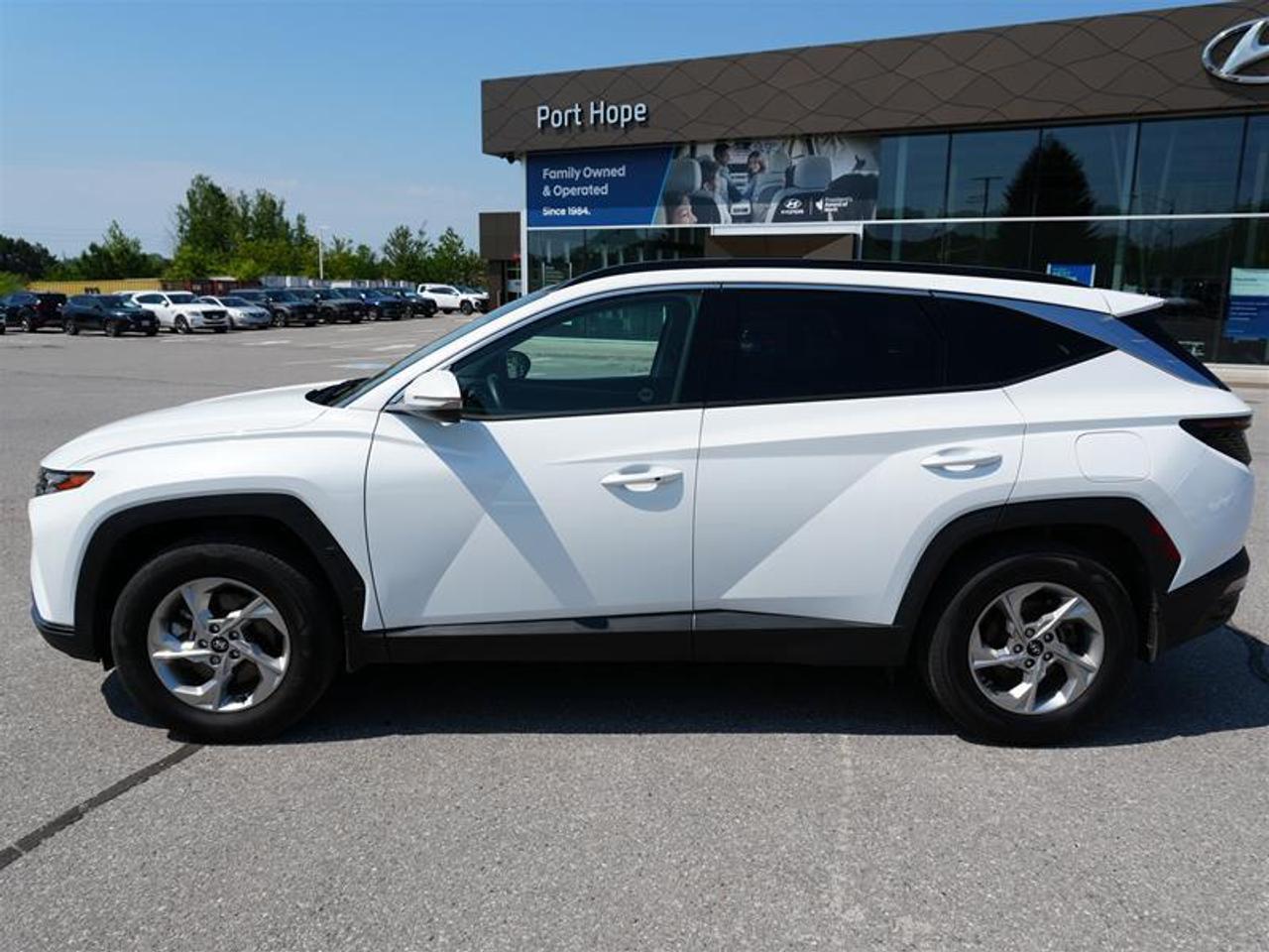 2024 Hyundai Tucson CERTIFIED   NO ACCIDENTS   PANORAMIC ROOF Photo