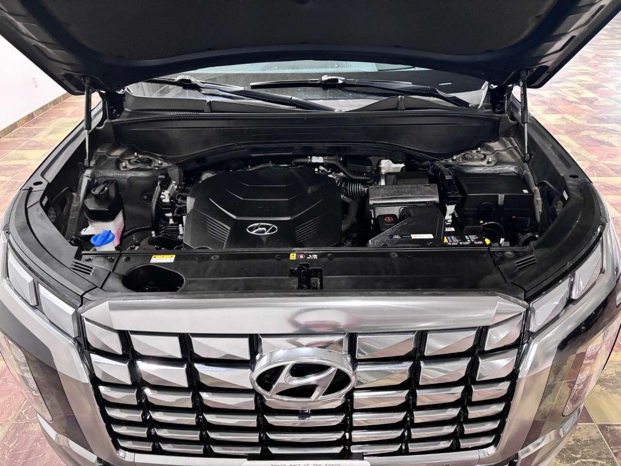 2024 Hyundai PALISADE Ultimate Calligraphy 7-Passenger AWD Photo