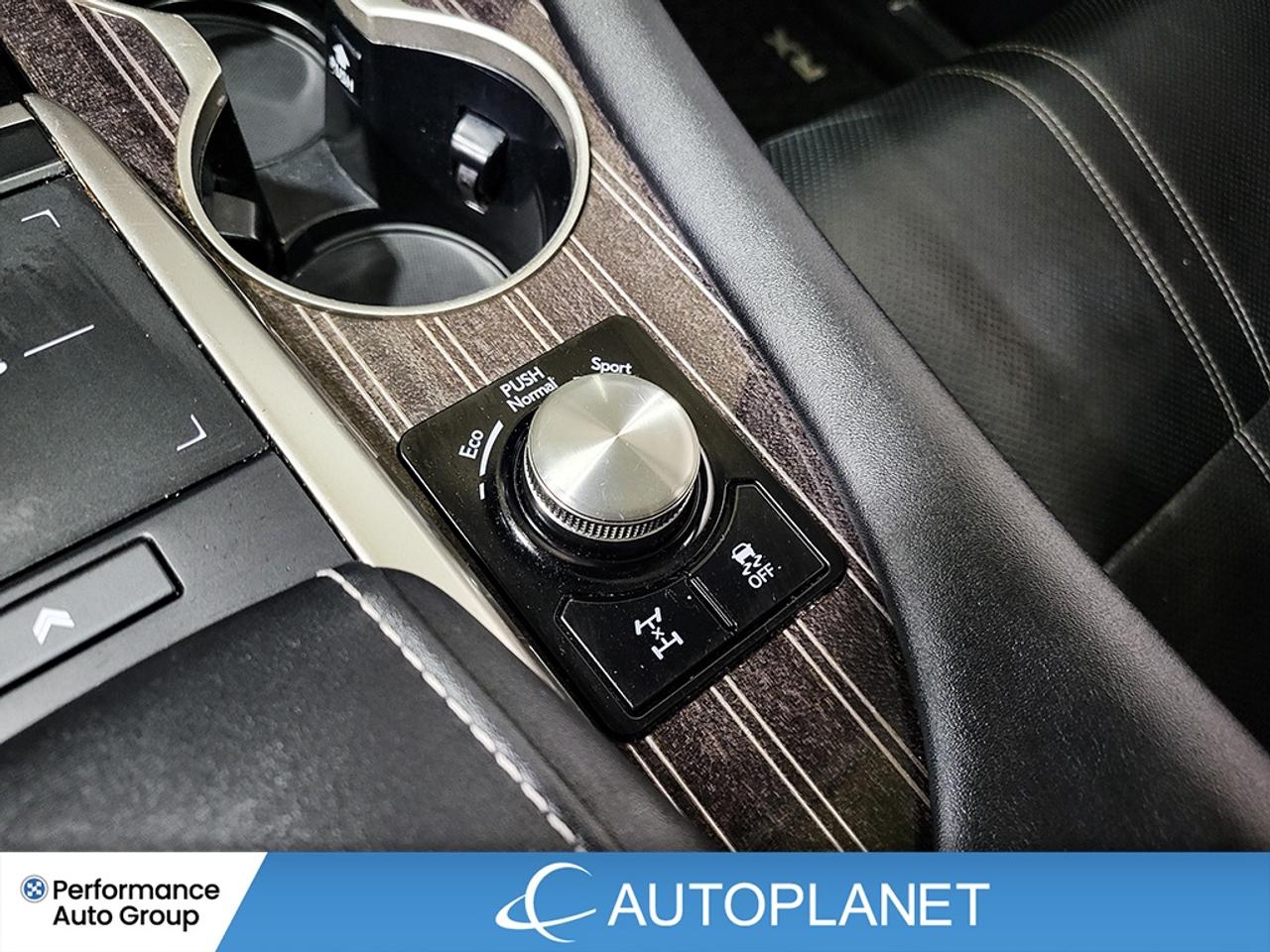 2022 Lexus RX 350 Luxury AWD, Navi, Sunroof, Back Up Cam! Photo