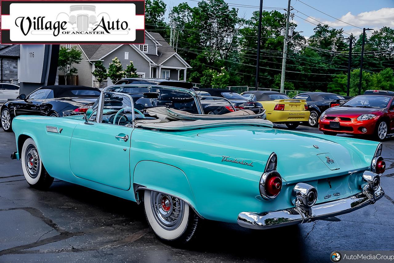1955 Ford Thunderbird  Photo