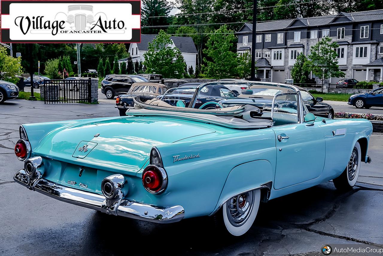 1955 Ford Thunderbird  Photo