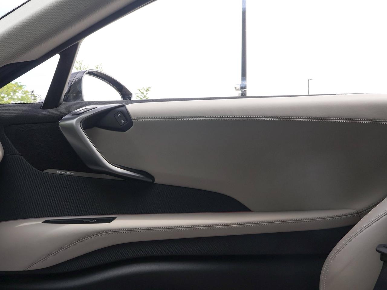 2015 BMW i8  Photo